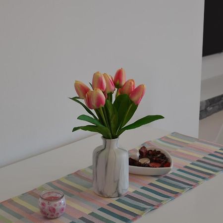 تْسْغيكفانِتْسا Apartments Korina المظهر الخارجي الصورة